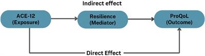 How adverse childhood experiences impact the professional quality of life of residential care workers: resilience as a mediator for burnout, secondary traumatic stress, and compassion satisfaction